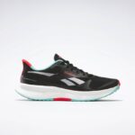 کفش مردانه ریباک مدل Reebok Floatride Energy 6 Men's Shoes 100210002